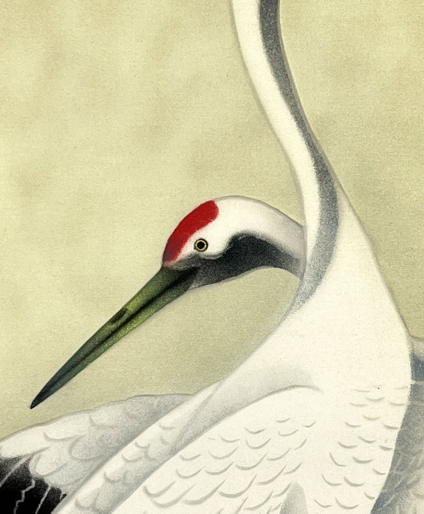 Kakemono "Coppia di gru" - immagine 5