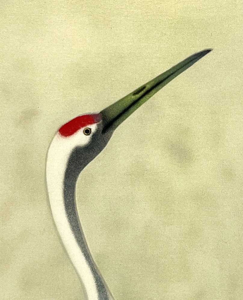 Kakemono "Coppia di gru" - immagine 6