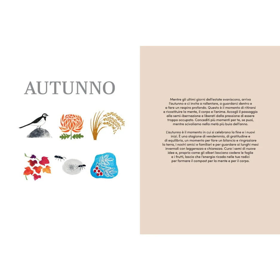 Micro-stagioni giapponesi - Una guida allo slow living secondo il calendario tradizionale giapponese - immagine 6