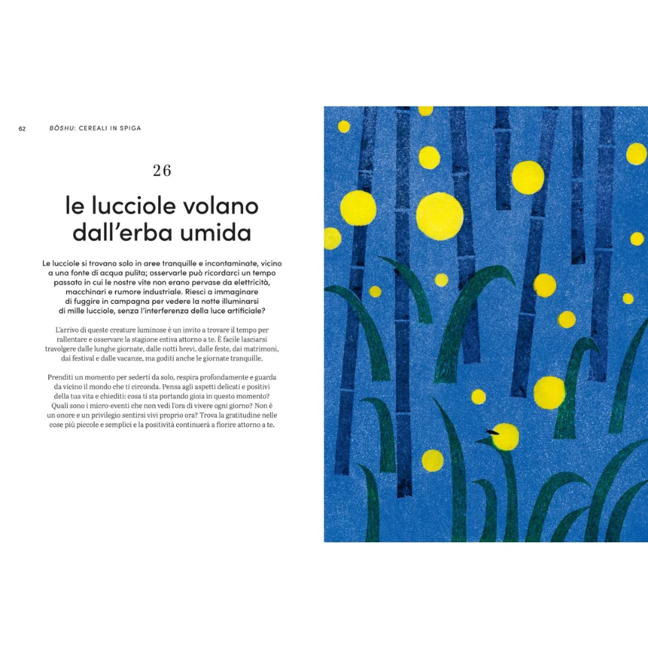 Micro-stagioni giapponesi - Una guida allo slow living secondo il calendario tradizionale giapponese - immagine 4